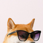 Evcil-hayvanlar-de8680945f2a42cfc2a7ba46fc4cb22b