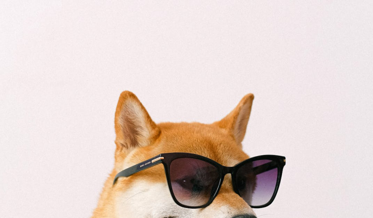 Evcil Hayvanlar: Hayatımıza Ne Gibi Faydalar Sağlıyorlar?