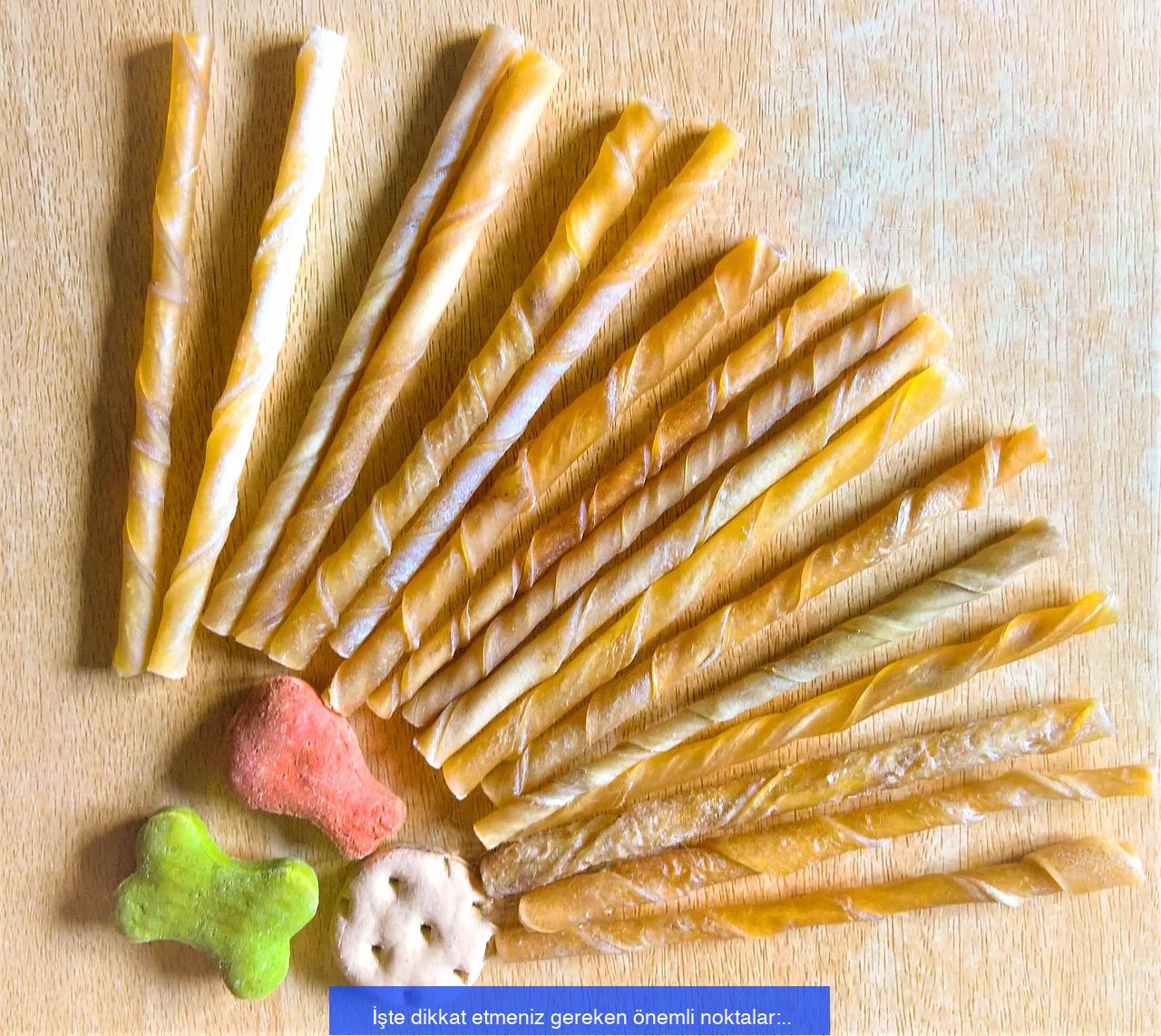 Sağlıklı Bir Köpek Maması Nasıl Anlaşılır?