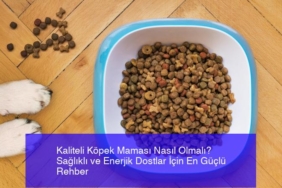 kaliteli-kopek-mamasi-nasil-olmali-saglikli-ve-enerjik-dostlar-icin-en-guclu-rehber-QgY2RJXp.jpg