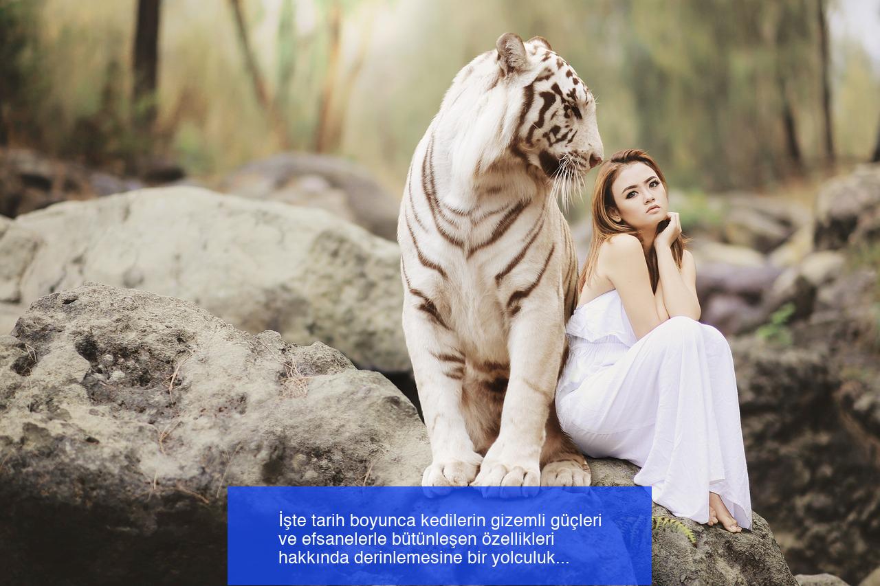 Kedilerin Eski Sırlarda Saklı Güçleri ve Tılsımlı Özellikleri