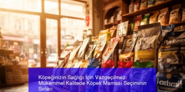 kopeginizin-sagligi-icin-vazgecilmez-mukemmel-kalitede-kopek-mamasi-seciminin-sirlari-HfjvVu3s.jpg