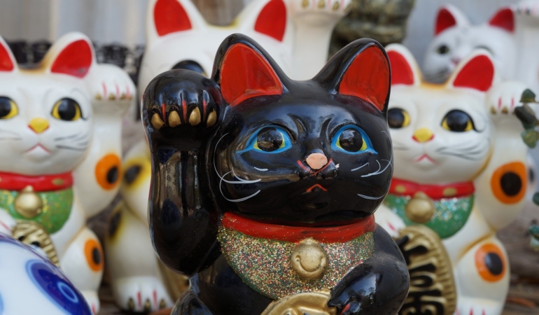 Tüylerin Ardında: Kedilerin Efsanevi Hikayesi